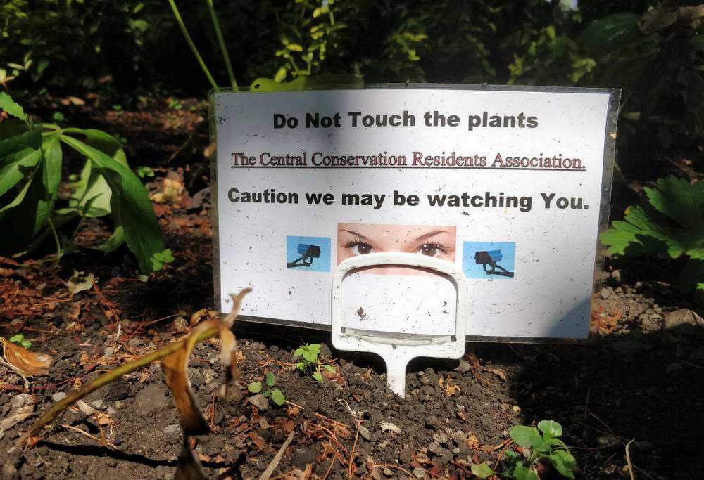 Signs warning people to not pick flowers